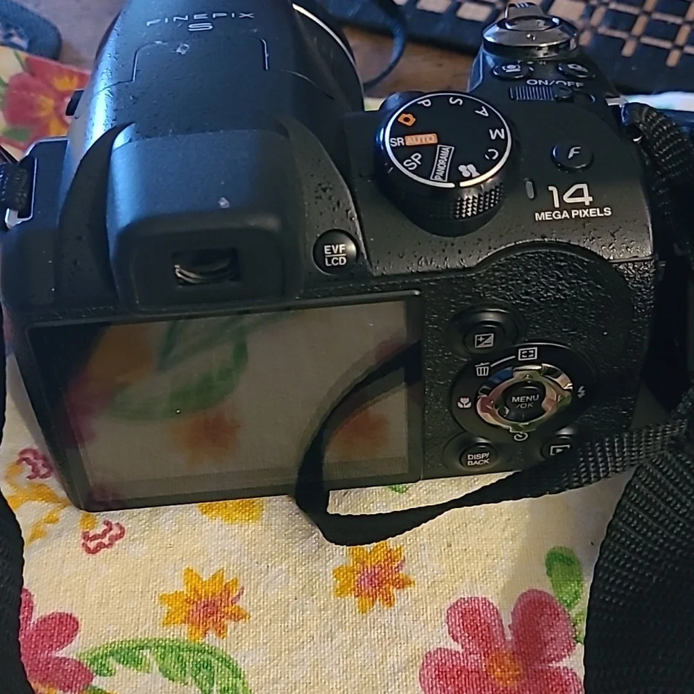 Fujifilm And Kodak Black Digital Cameras